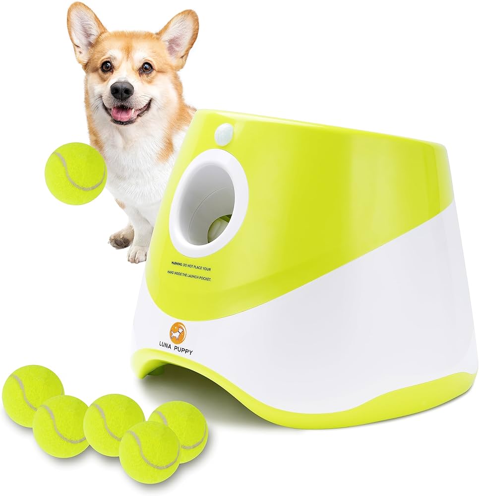 Lance-Balle Automatique pour Chien