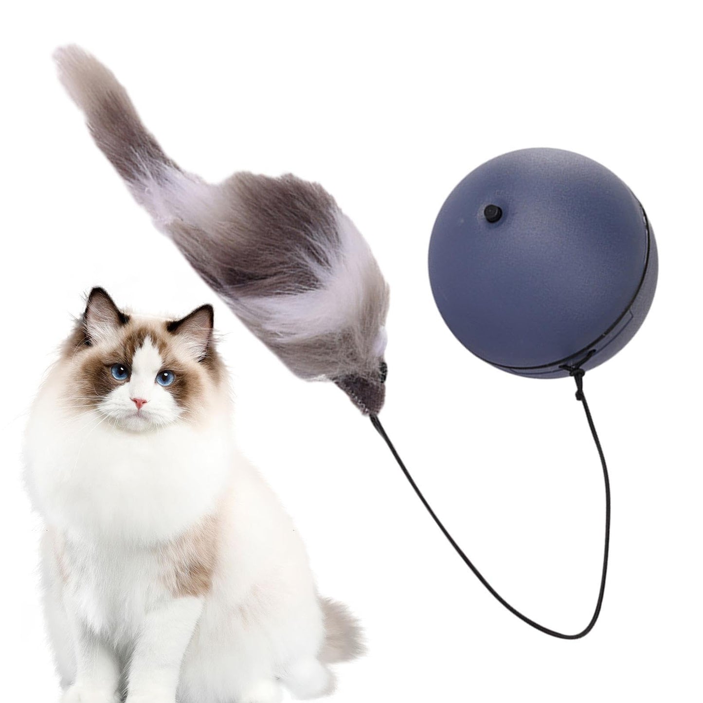 Jouet Interactif Automatique pour Chat