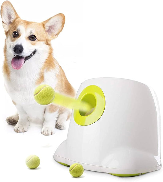 Lance-Balle Automatique pour Chien