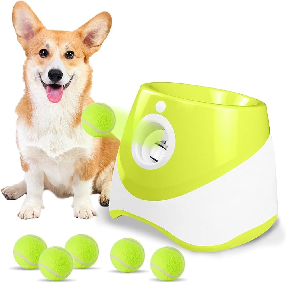 Lance-Balle Automatique pour Chien