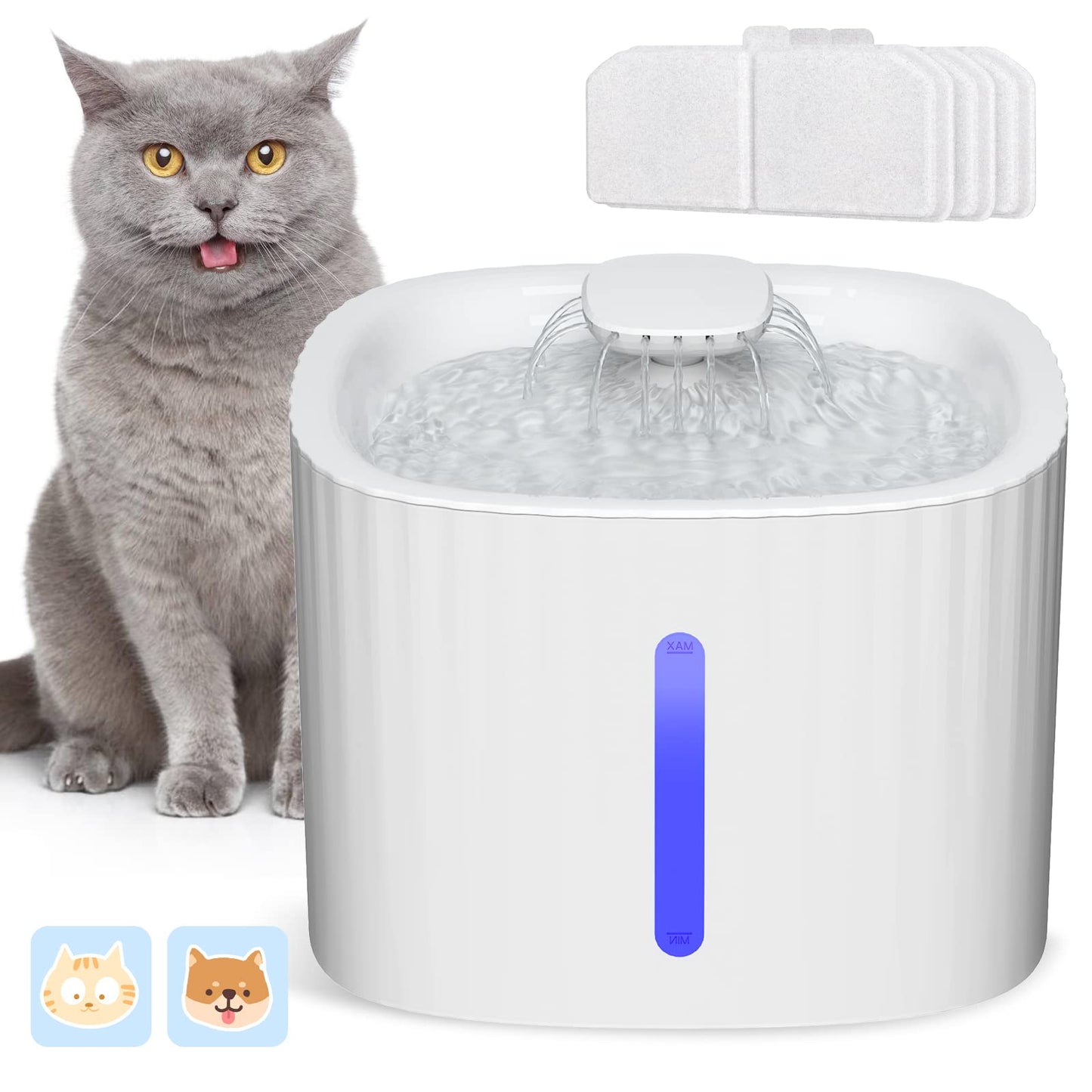 Fontaine à Eau Automatique pour Chat