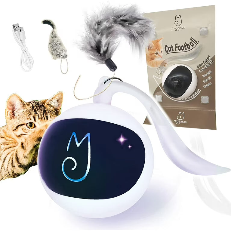 Jouet Interactif Automatique pour Chat